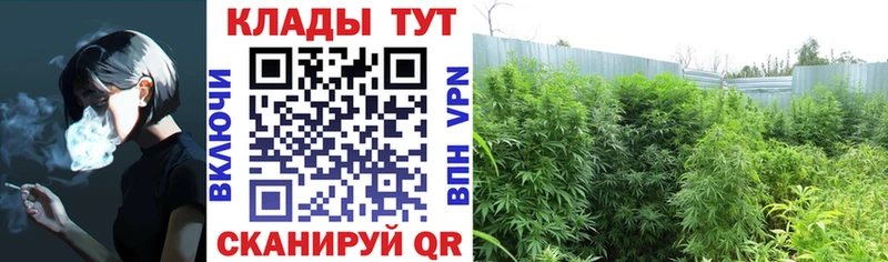 Магазины продажи наркотиков Грязовец Гашиш A-PVP МЕФ Бошки Шишки