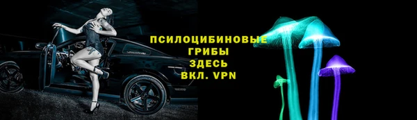 ПСИЛОЦИБИНОВЫЕ ГРИБЫ Нефтекумск