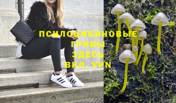герыч Алексин