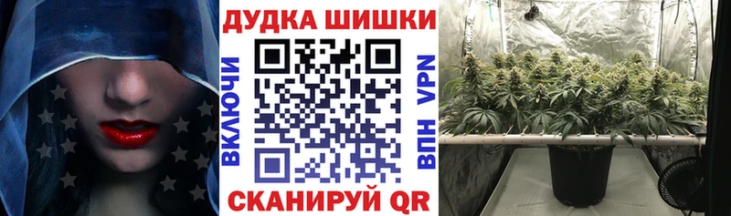 продажа наркотиков  Грязовец  Бошки марихуана индика 